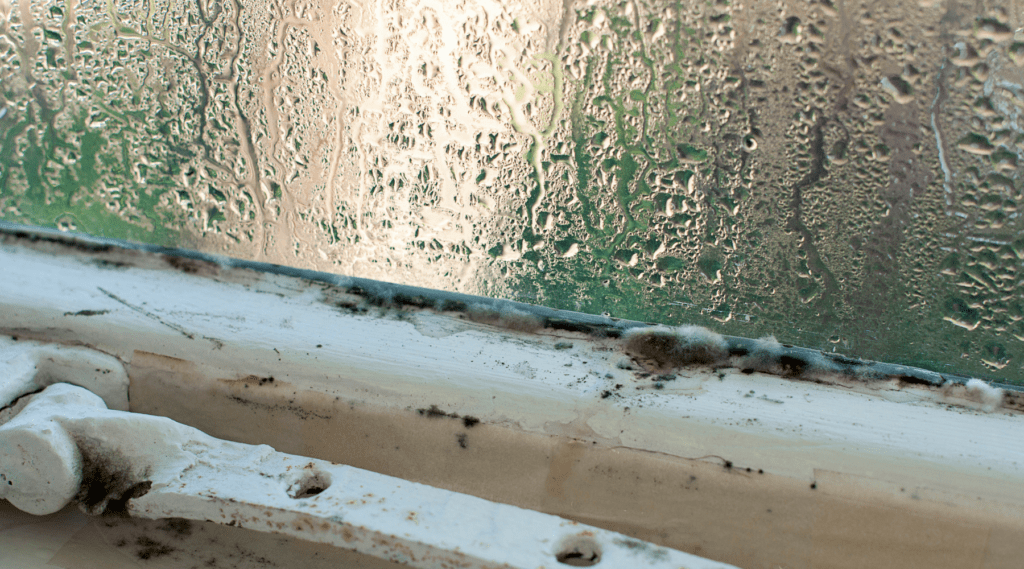 window water testing abatement near me san francisco bay area glass service provider