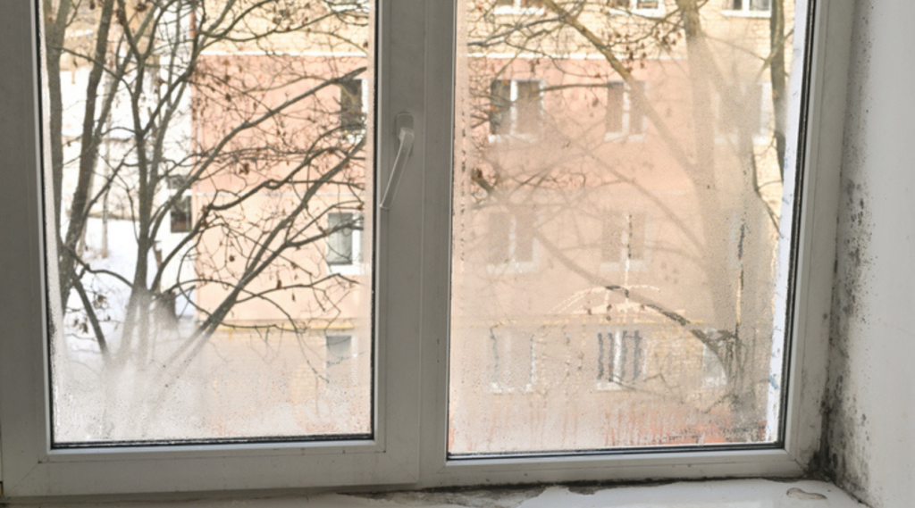 commercial window water intrusion