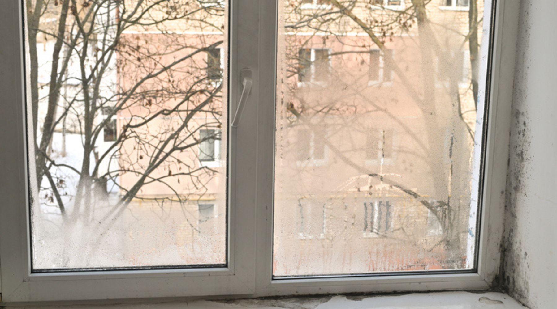 commercial window water intrusion