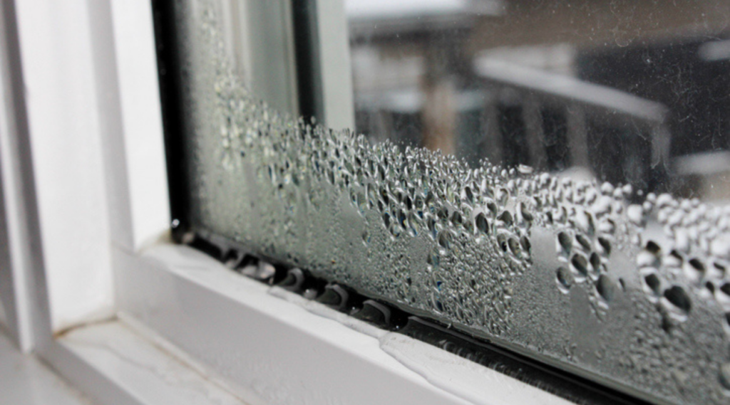 commercial window water intrusion