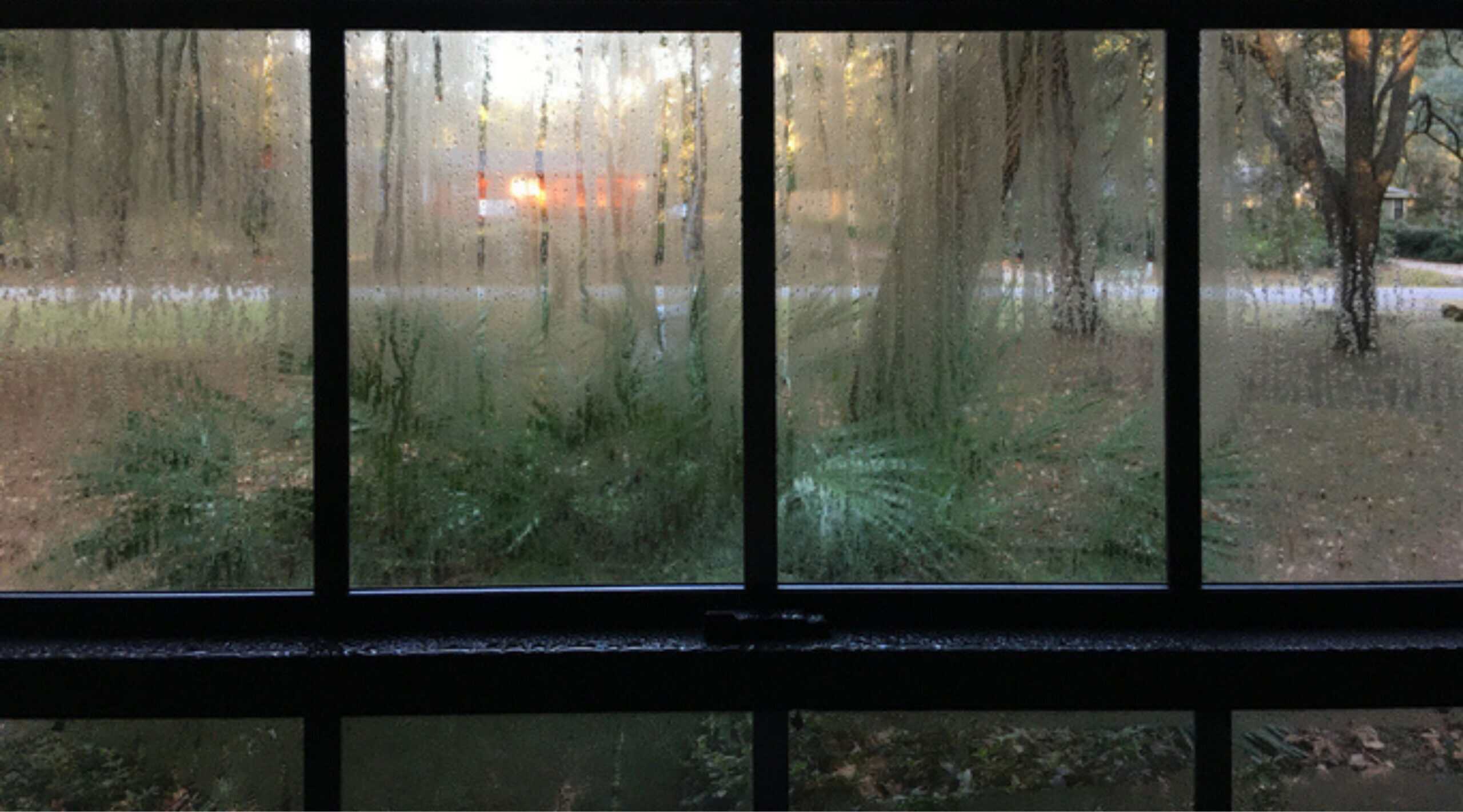 moisture between window panes repair or replacement, foggy double pane windows, newark milpitas union city fremont glazier residential