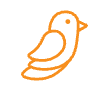 Bird and Bulletproof Glass