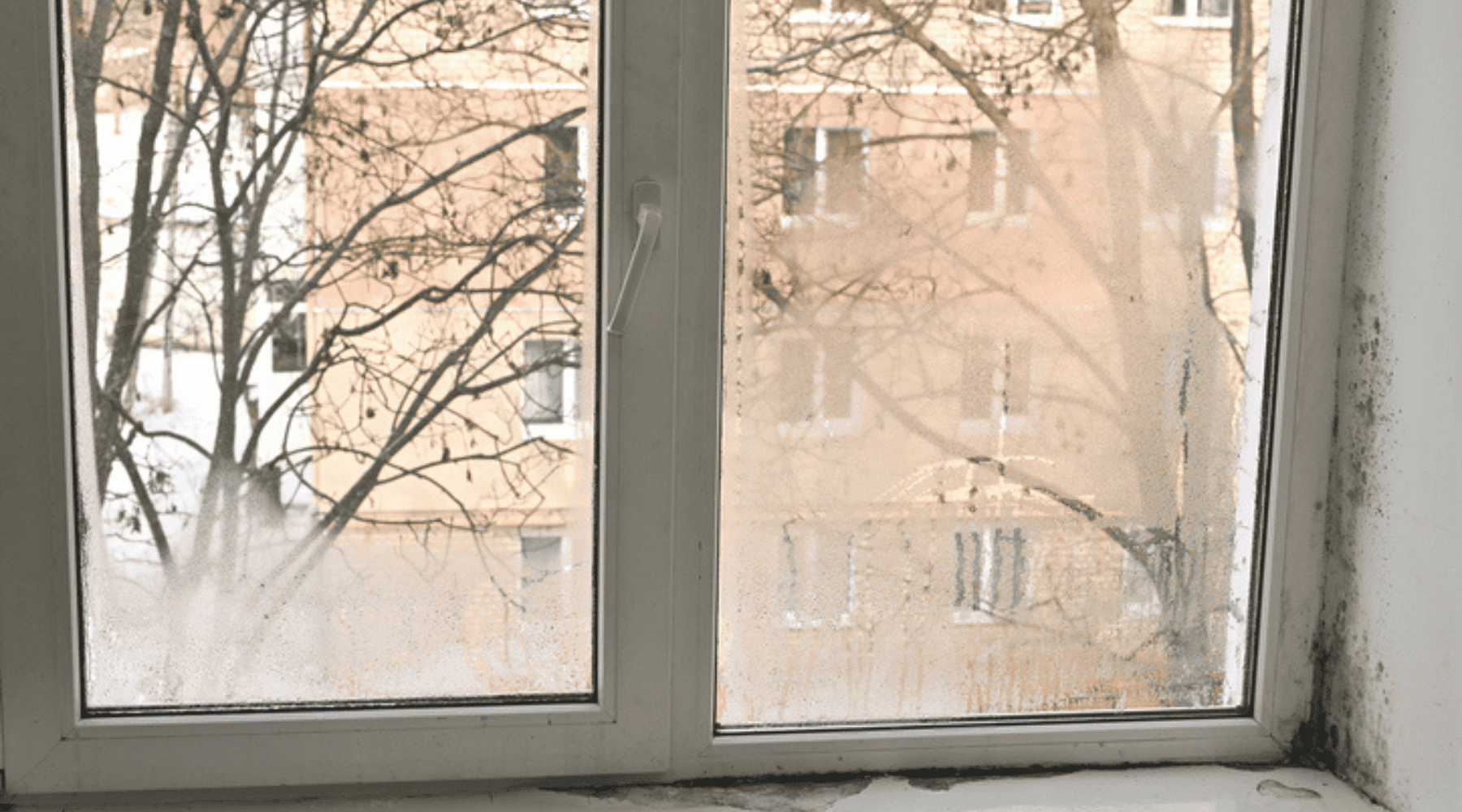 commercial window water intrusion
